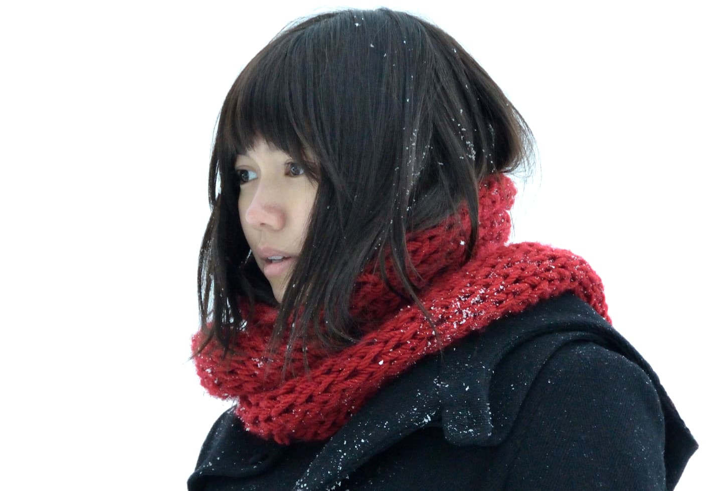 © 2014「私の男」 製作委員会