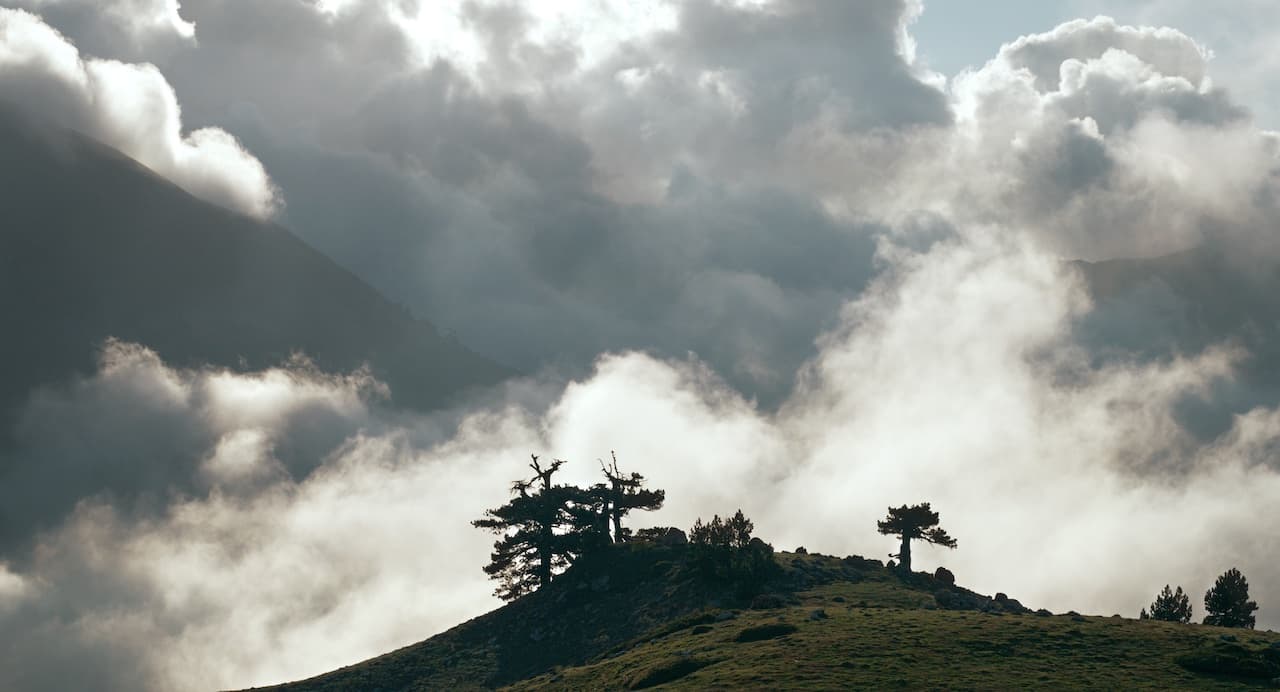 (C) 2021 DOPPIO NODO DOUBLE BIND - ESSENTIAL FILMS - SOCIETE PARISIENNE DE PRODUCTION - ARTE FRANCE CINEMA