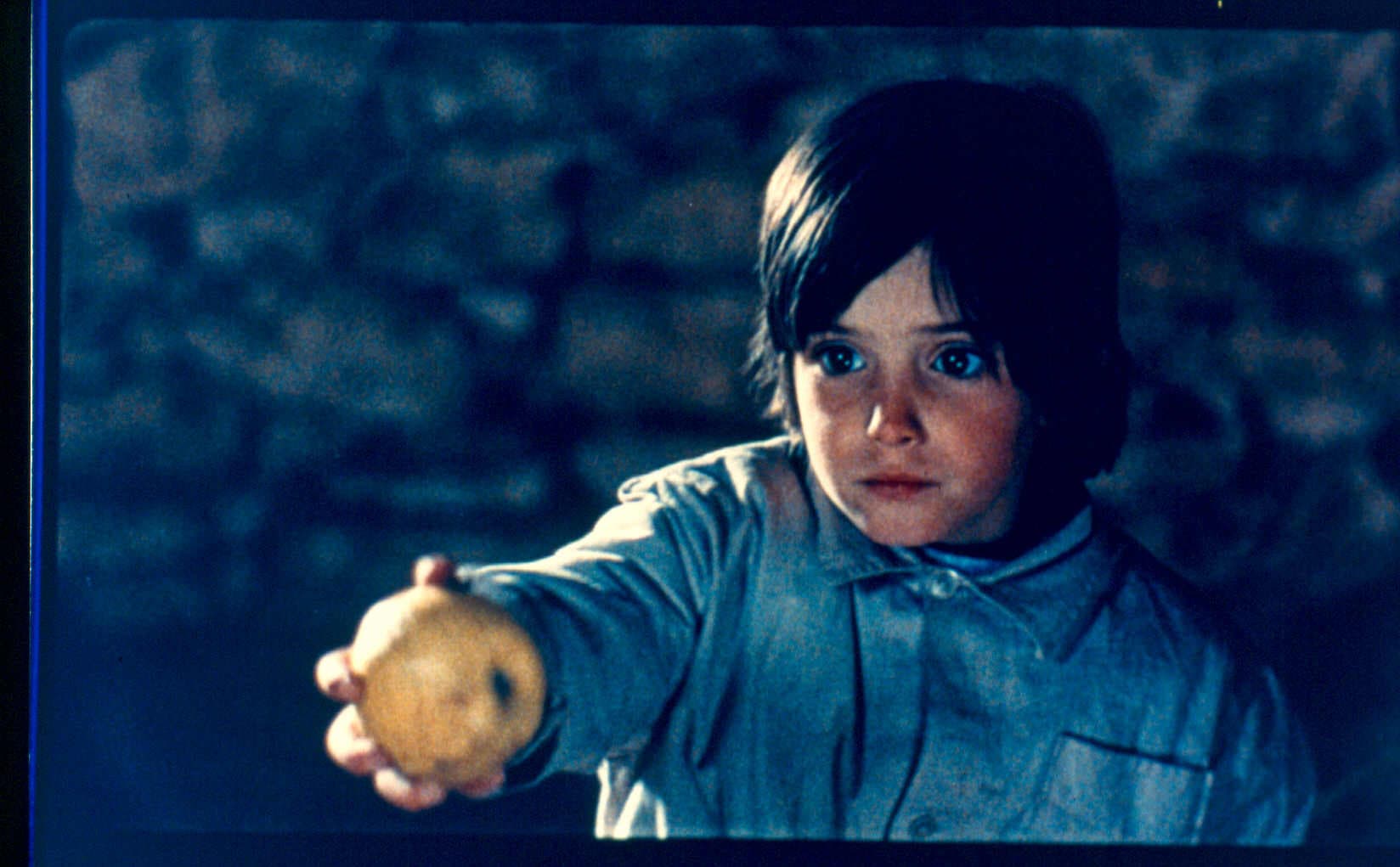 ©2005 Video Mercury Films S.A.