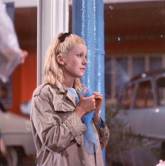 ©Ciné-Tamaris　1993