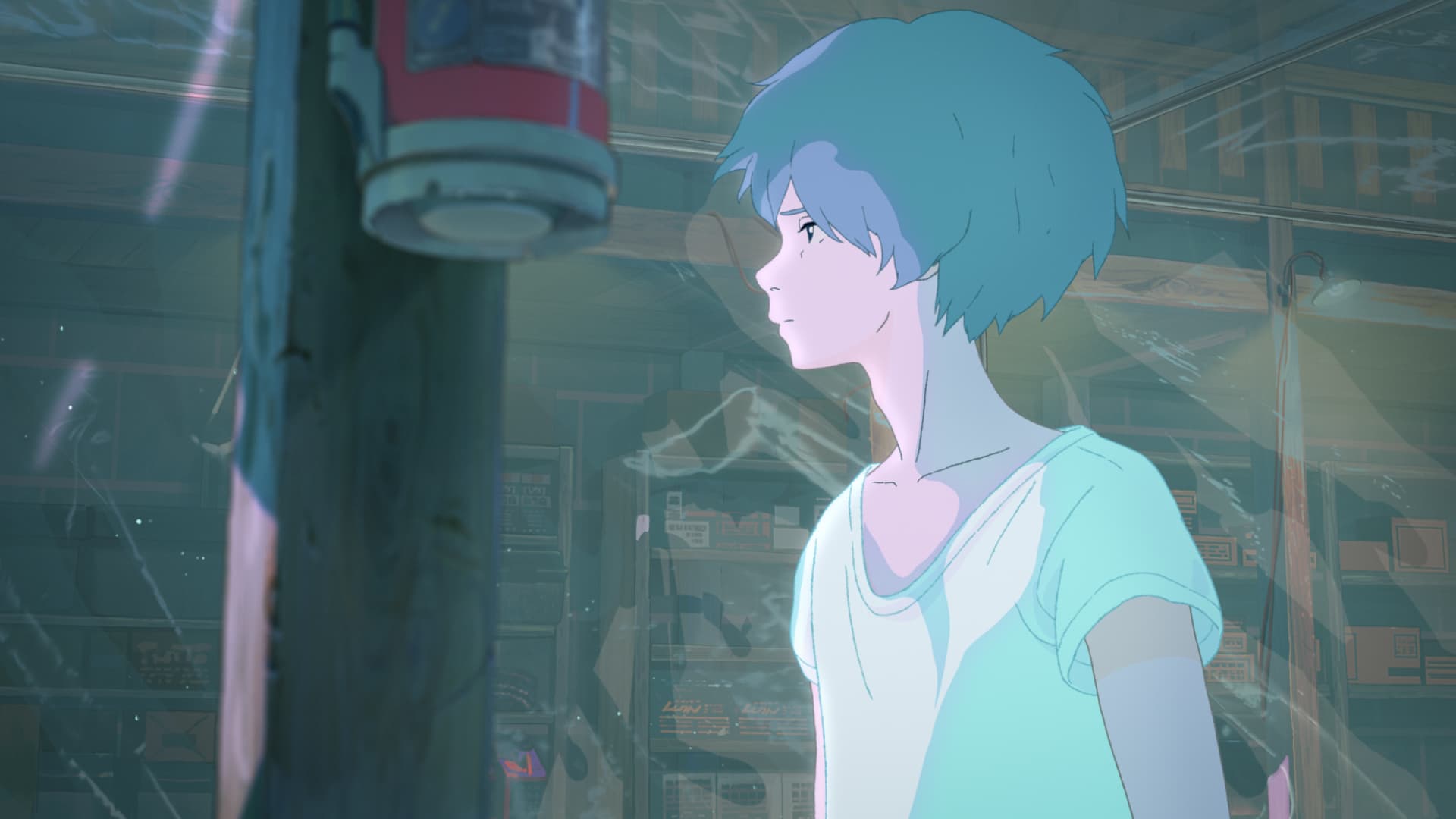 (C)2025 A NEW DAWN Film Partners